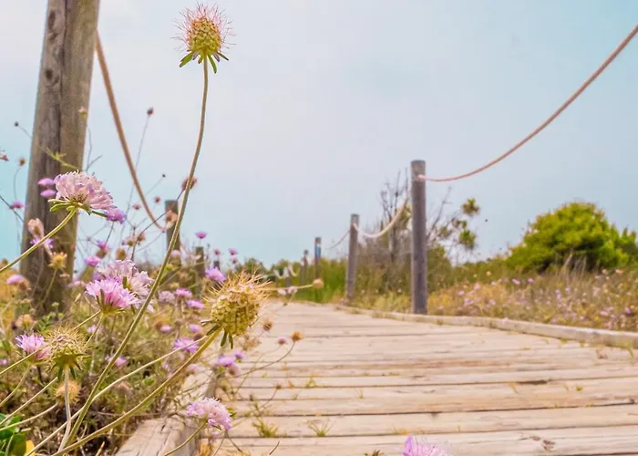 营地 Relax Sol
