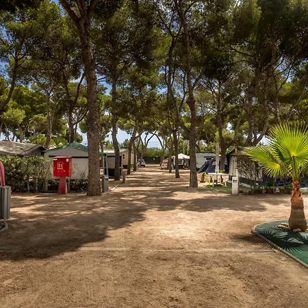Camping Relax Sol