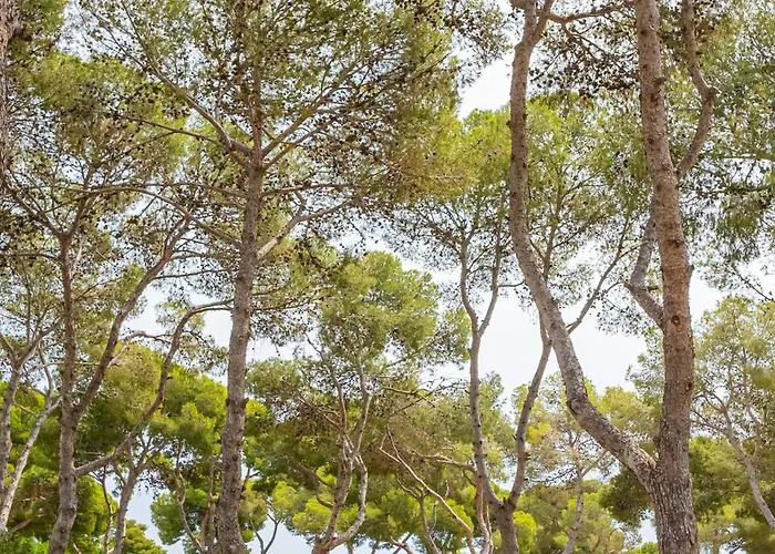 Kamp alanı Relax Sol Torredembarra